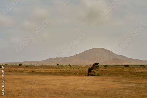 The desert landscape of the island of Sal in Cape Verde.