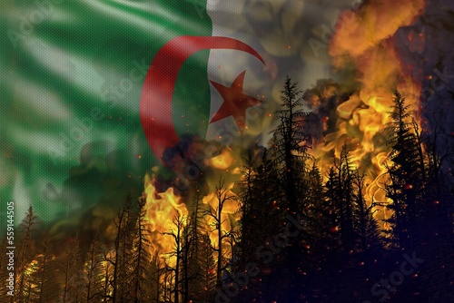 Forest fire natural disaster concept - burning fire in the woods on Algeria flag background - 3D illustration of nature