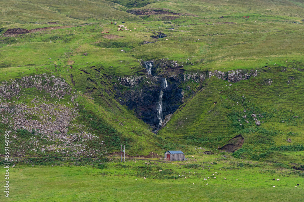 Fairy Glen
