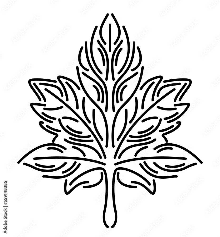 Line art with isolated black maple leaf shape Line art with isolated black maple leaf shape