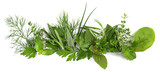 Verschiedene frische Kräuter - Fresh Herbs Panorama