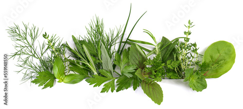Verschiedene frische Kräuter - Fresh Herbs Panorama photo