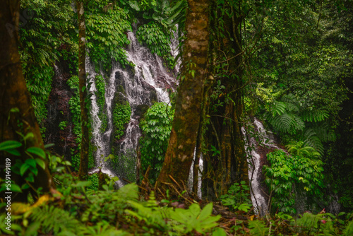 Waterfall in tropical climate in the jungle with green leaves and trees