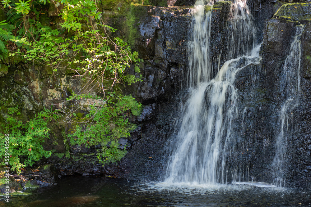 Dunvegan Castle & Gardens