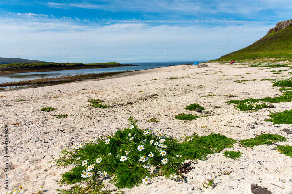 Coral Beach