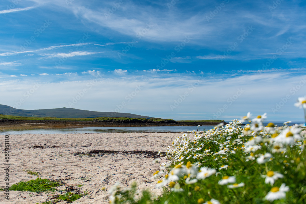 Coral Beach
