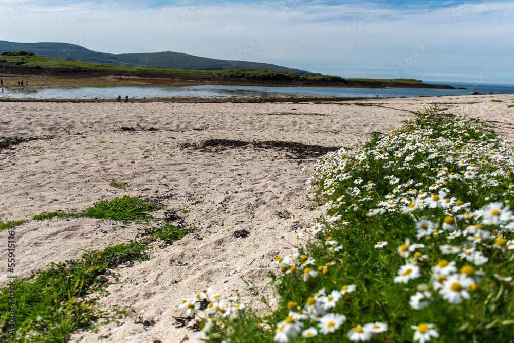Coral Beach