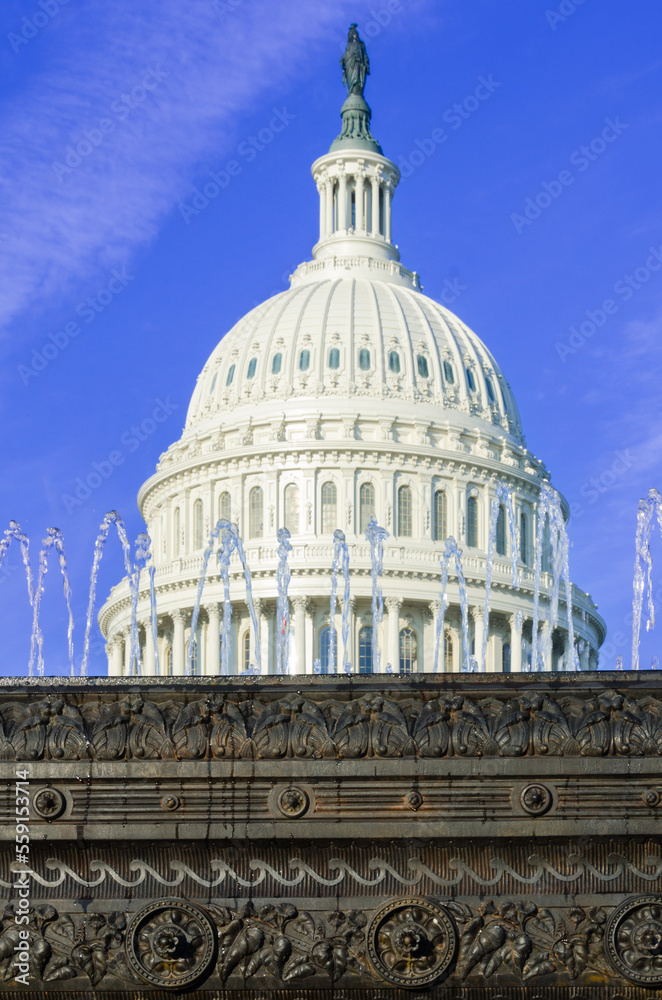 Obraz premium US Capitol building and decorative fountain - Washington DC, United States