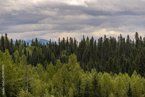 nature sceneries along the Highway from Prince George to Jasper National Park, Alberta, Canada 