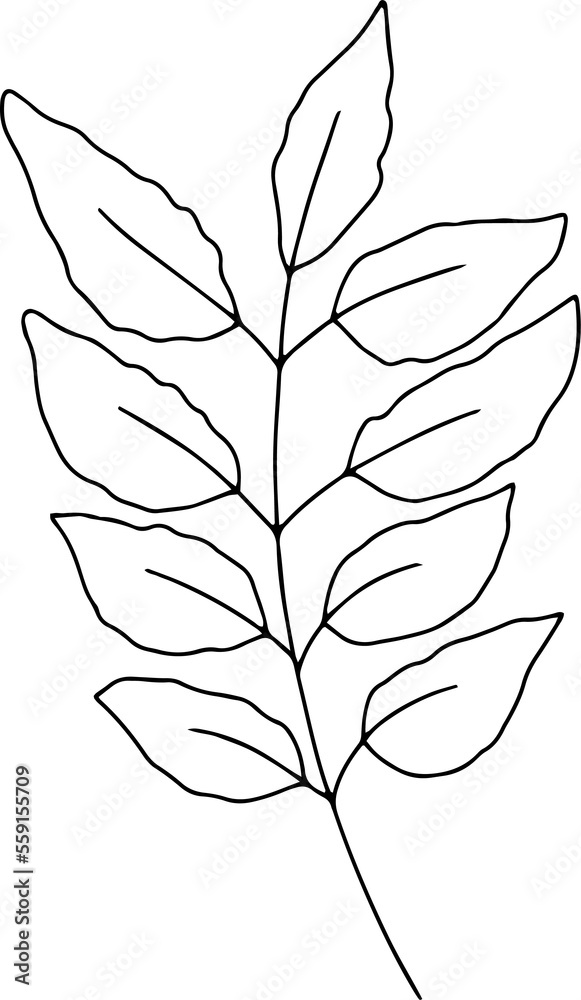 Obraz premium Hand drawn line art floral decorative elements, leaves, flowers, herbs and branches botanical doodles