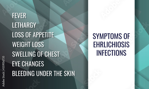 symptoms of ehrlichiosis infections.  Vector illustration for medical journal or brochure.  photo