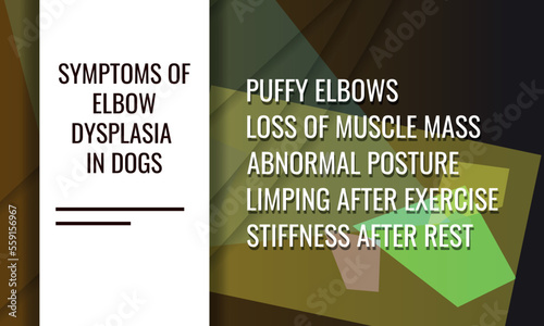 symptoms of elbow dysplasia in dogs.  Vector illustration for medical journal or brochure. 