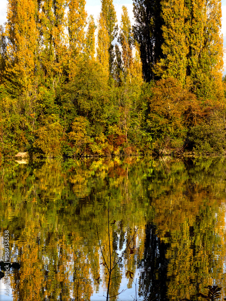 Obraz premium Up or down