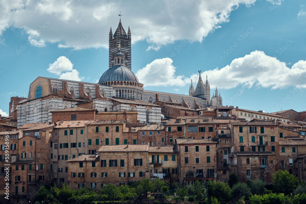 Obraz premium view of sienna