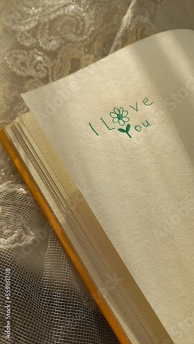 The phrase "I love you" written on a book under the sunlight (ID: 559161708)
