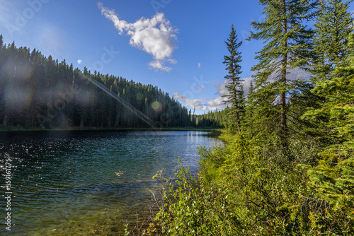 nature sceneries along the Highway from Prince George to Jasper National Park, Alberta, Canada  photo