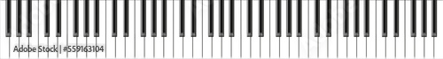 Realistic piano keys. Musical instrument keyboard. Vector