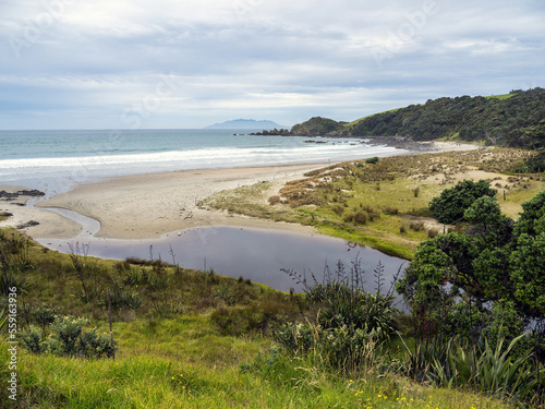 Tawharanui peninsula regional park. Auckland, New Zealand photo