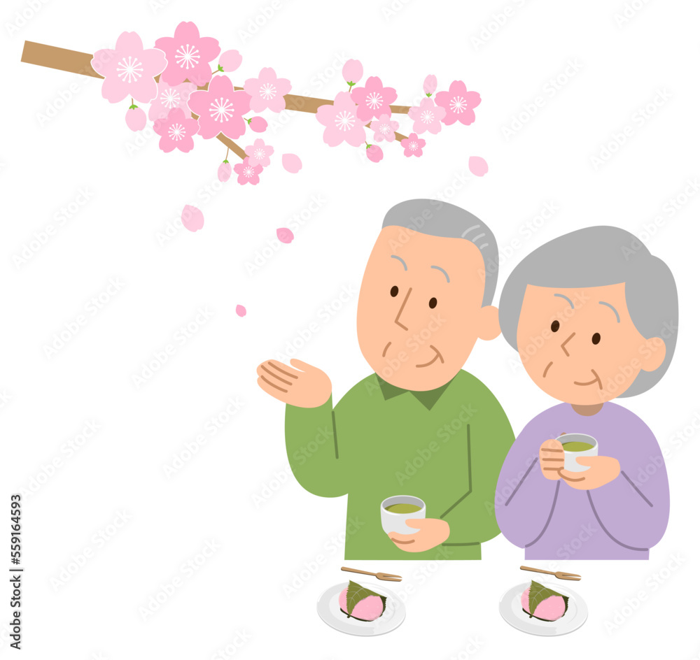 お花見するシニア夫婦 お花見するシニア夫婦