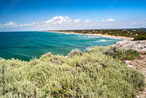 Fototapeta Naklejka Na Ścianę i Meble -  Sabaudia, district of Latina, Lazio, Italy, view of Sabaudia beach