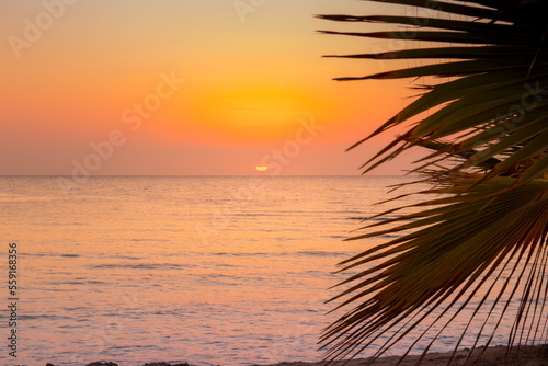 Fototapeta Naklejka Na Ścianę i Meble -  Beautiful sunrise at sea. Dawn on the Red Sea. The sun is reflected in the sea. Palm trees and palm leaves against the background of the rising sun. Tropical sunrise