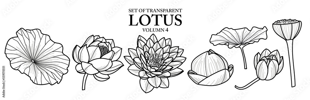 Cute hand drawn isolated black outline lotus on transparent background png file (Volumn 4)