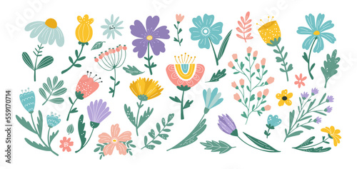 Floral Easter pattern  flowers and leaves isolated elements. Summer or spring collection for notebook decoration  garden herbs stem and meadow petals. Vector cartoon flat icon set
