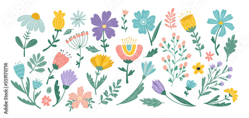 Floral Easter pattern, flowers and leaves isolated elements. Summer or spring collection for notebook decoration, garden herbs stem and meadow petals. Vector cartoon flat icon set