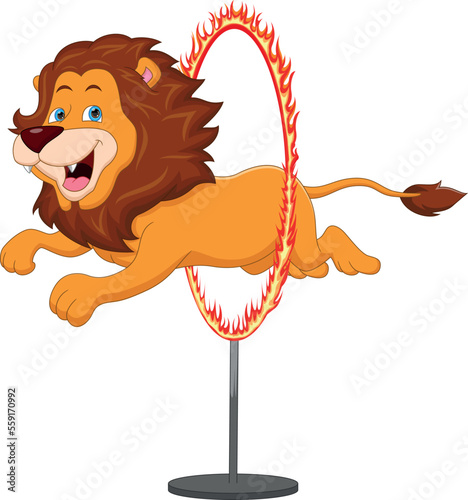 funny lion circus jumping ring of fire
