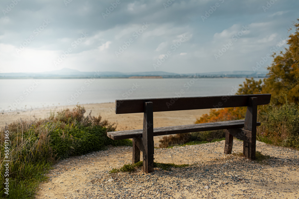 Back view of old wooden bench on coast of lake.