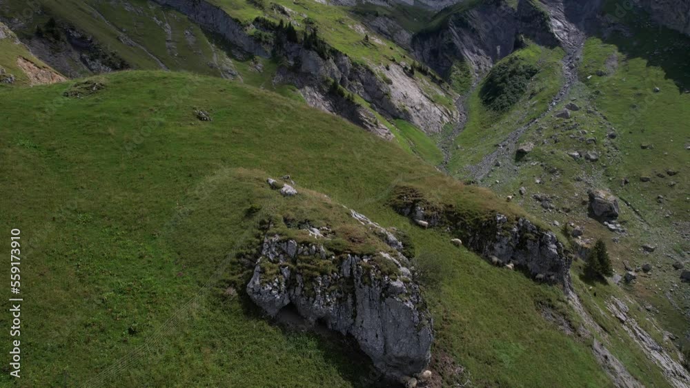Moutons dans les Alpes Moutons dans les Alpes