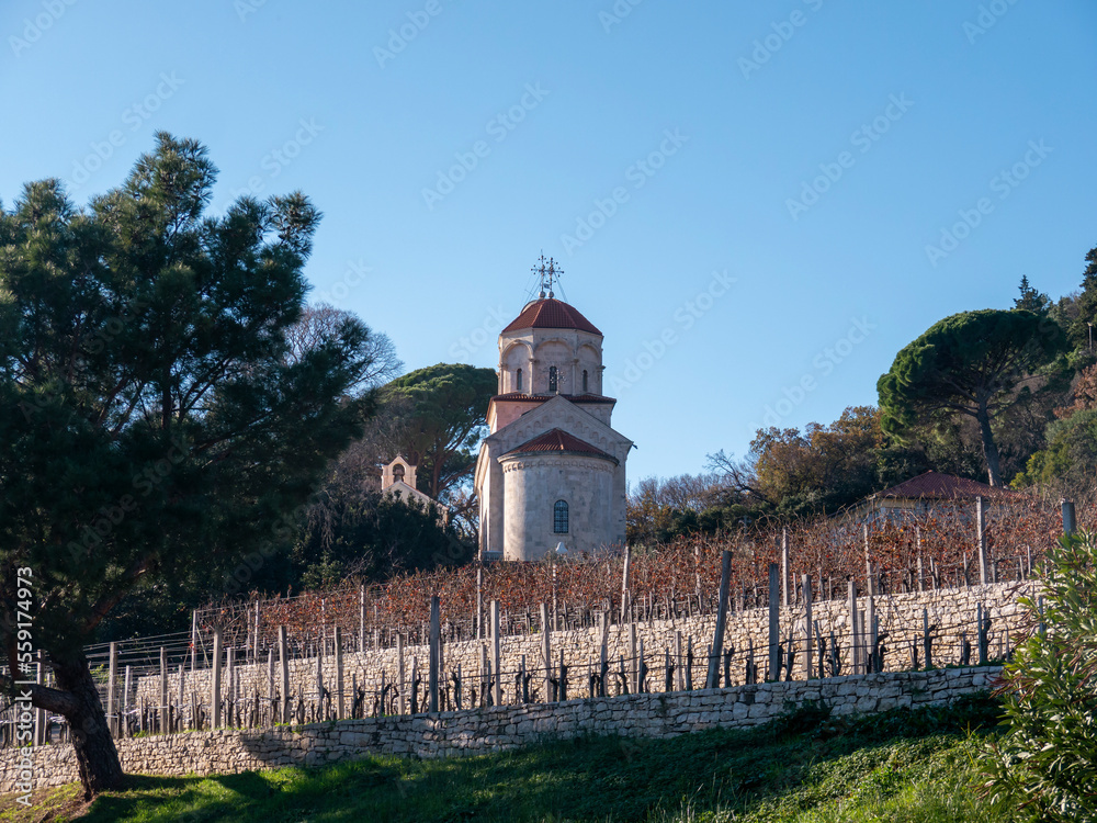 Leafless vineyard grape plantation of Savina Monastery (Monastir Savina) with Orthodox chirch at background