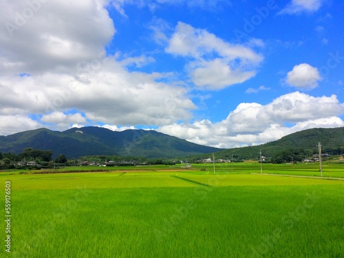 美しい青空と田園風景 © yui