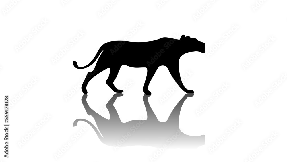 Obraz premium Lioness silhouette