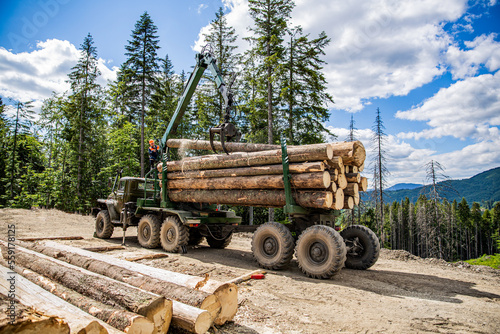 Lumberjack with modern harvester working in a forest. Forest industry. Felling of trees,cut trees, forest cutting area, forest protection concept. Wheel-mounted loader, timber grab
