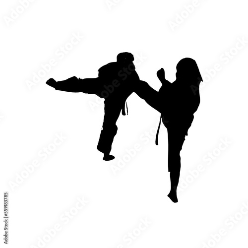 silhouette of a martial arts move with a transparent background