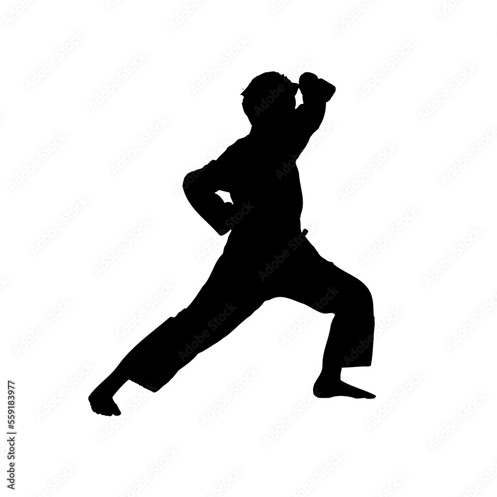 silhouette of a martial arts move with a transparent background silhouette of a martial arts move with a transparent background
