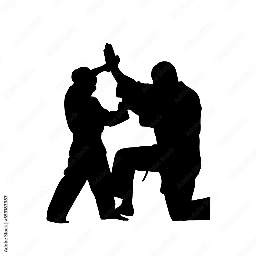 silhouette of a martial arts move with a transparent background silhouette of a martial arts move with a transparent background