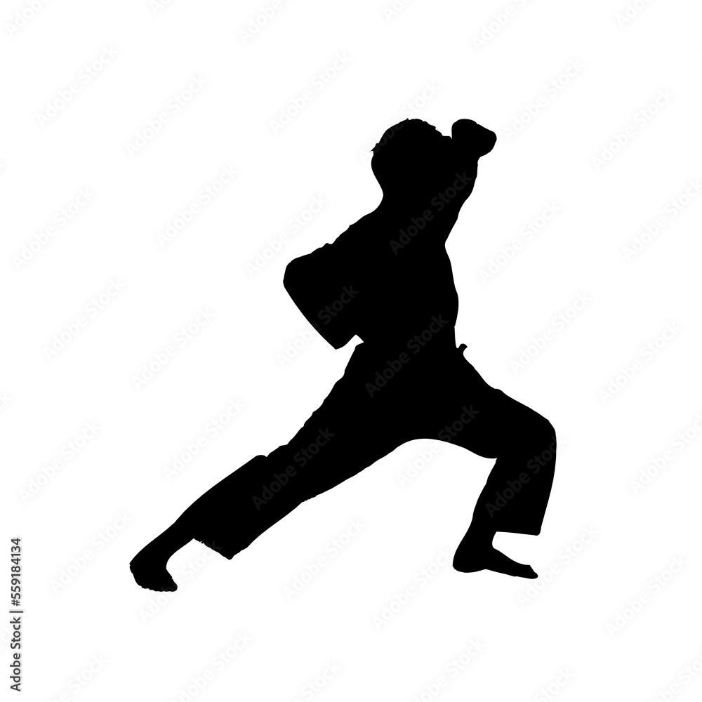 silhouette of a martial arts move with a transparent background silhouette of a martial arts move with a transparent background