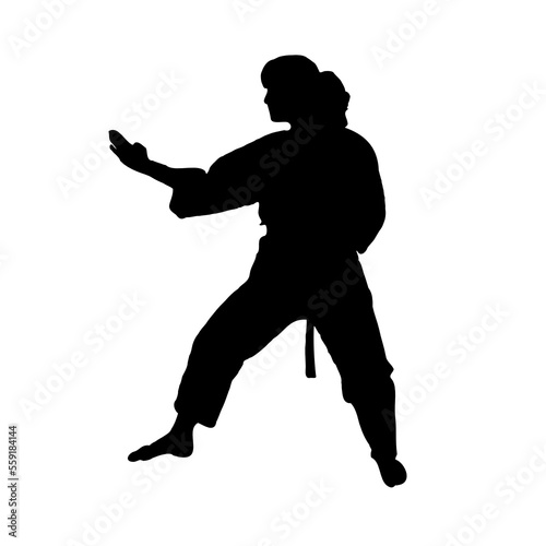 silhouette of a martial arts move with a transparent background