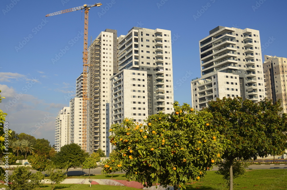 real estate in israel. Beautiful new buildings, apartment buildings. Modern housing. Concept: investment, loan, mortgage, rent, sale. Orchard with orange trees near the house