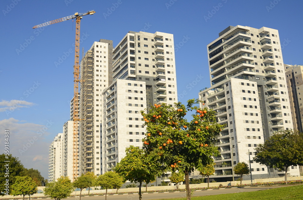 Fototapeta premium Construction of a residential building. Construction crane, tree with orange fruits. Garden next to an apartment building. Concept: buying a home, investment, mortgage, loan, price increase, real esta