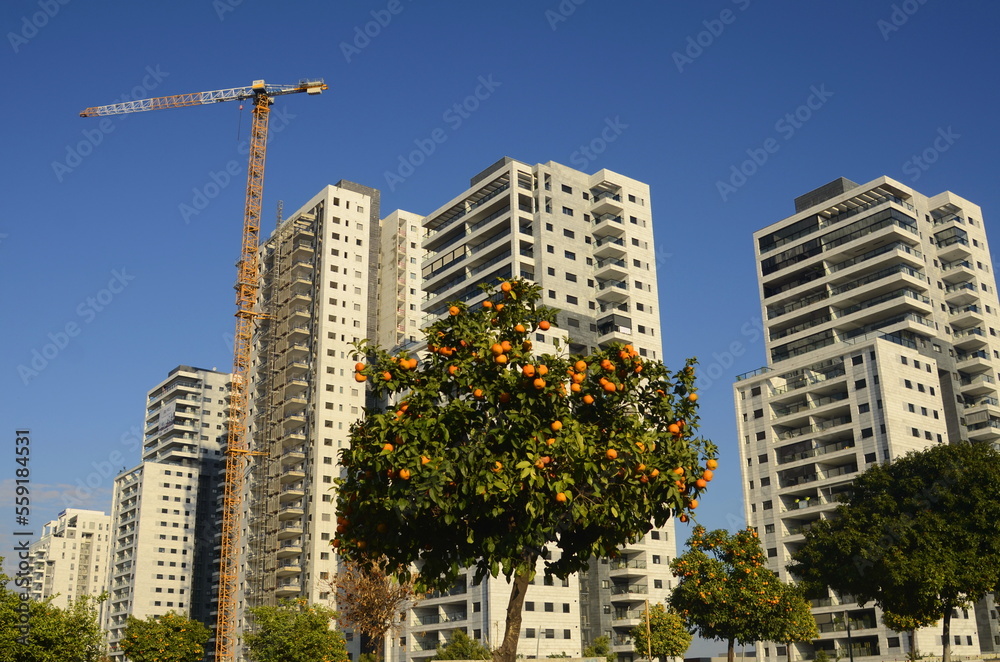 Construction of a residential building. Construction crane, tree with orange fruits. Garden next to an apartment building. Concept: buying a home, investment, mortgage, loan, price increase, real esta