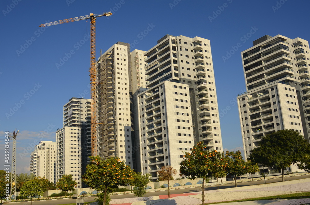 Construction of a residential building. Construction crane, tree with orange fruits. Garden next to an apartment building. Concept: buying a home, investment, mortgage, loan, price increase, real esta