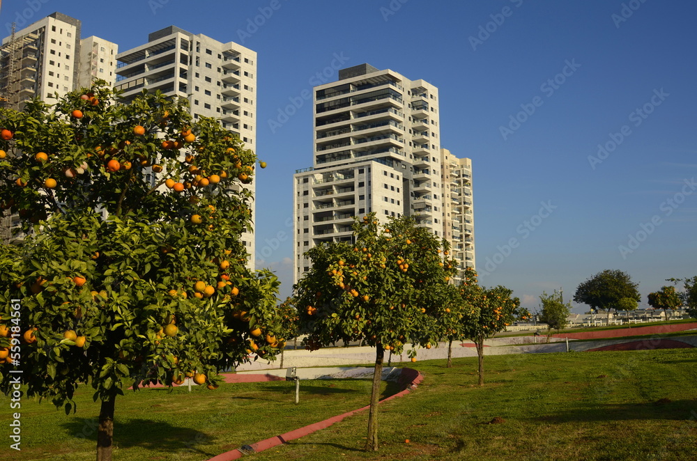 Construction of a residential building. Construction crane, tree with orange fruits. Garden next to an apartment building. Concept: buying a home, investment, mortgage, loan, price increase, real esta Construction of a residential building. Construction crane, tree with orange fruits. Garden next to an apartment building. Concept: buying a home, investment, mortgage, loan, price increase, real esta