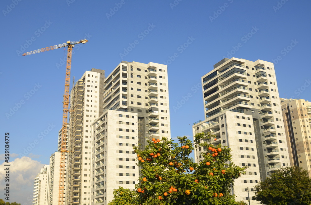 Cozy residential area. High-rise modern apartment buildings. Construction crane. Orange garden near the house. Concept: real estate investment, home purchase, loan, mortgage. Cozy residential area. High-rise modern apartment buildings. Construction crane. Orange garden near the house. Concept: real estate investment, home purchase, loan, mortgage.