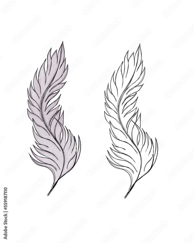 Set of two feathers watercolor pen and line art feather for background, texture, wrapper pattern, frame or border.