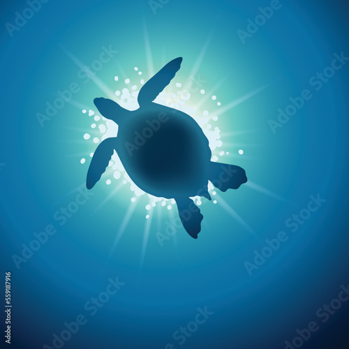 Silhouette Green sea turtle from underneath view