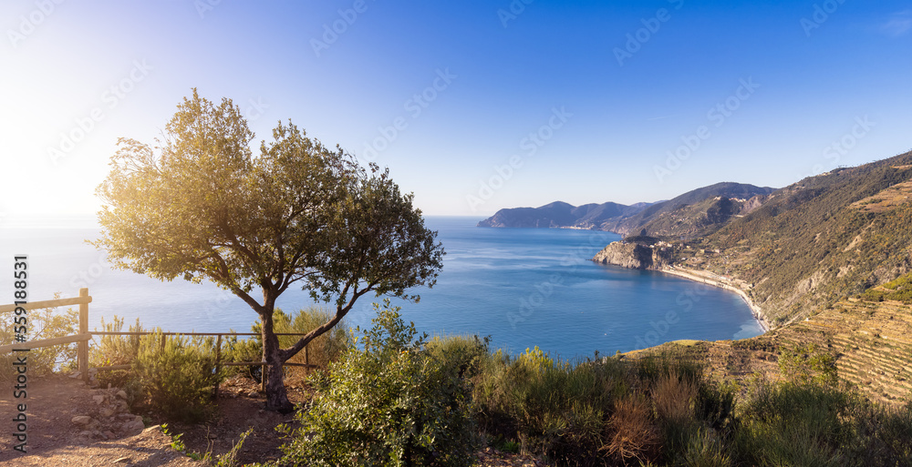 Scenic View on the rocky coast, hike near Manarola, Italy. Cinque Terre. Sunny Fall Season day. - obrazy, fototapety, plakaty 