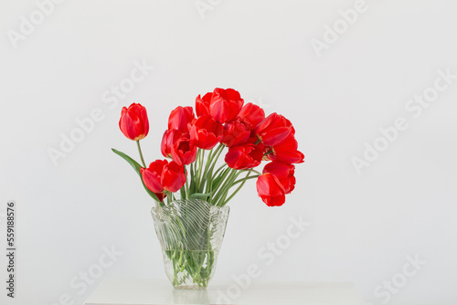 red tulips in glass vase on background white  wall